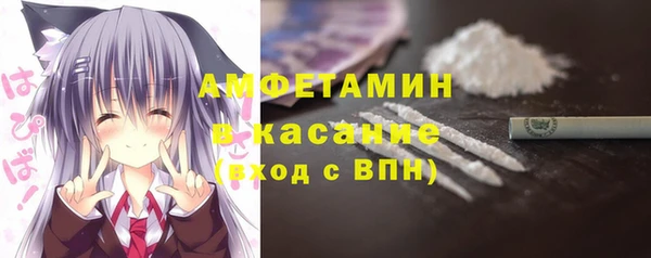 шишки Алексин