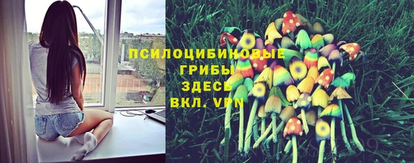шишки Алексин