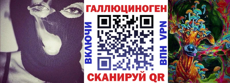 МЕГА ссылки  Светлоград  Галлюциногенные грибы Psilocybine cubensis 